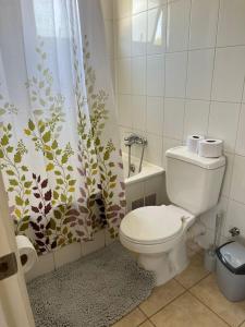 uma casa de banho com um WC e uma cortina de chuveiro em Machali Casa HOSTAL Habitación con Baño Privado y estacionamiento em La Viñilla