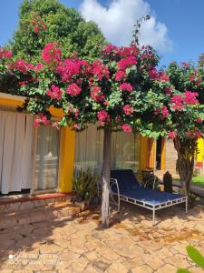 Κήπος έξω από το Quinta Rosita
