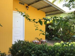 a yellow house with a white door and some plants at Urbano y Económico in David