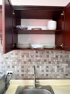 a kitchen with a sink and a shelf with dishes at City suite sosua A in Sosúa