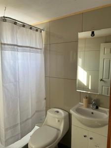 a white bathroom with a toilet and a sink at Cabaña Loft del Sur Premium in Chonchi