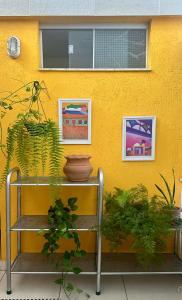 un mur jaune avec des plantes en pot et un banc dans l'établissement GayFriendly Hostel BSB Airport, à Brasilia