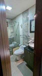 a bathroom with a toilet and a sink and a shower at Casa de Campo Don Panchito 