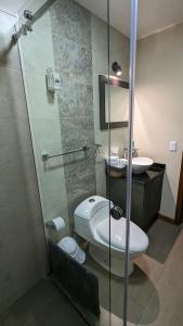 een badkamer met een toilet, een wastafel en een douche bij Casa de Campo Don Panchito 
