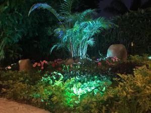 a garden with a palm tree and flowers at night at Hostería los Cedros de Mindo in Mindo