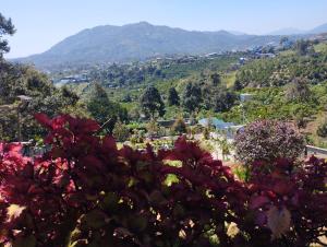 Vistas a una ciudad con montañas en el fondo en Homestay Chân Quê, en Bao Loc