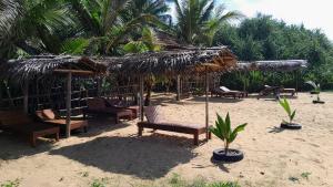 un groupe de chaises et de parasols sur une plage dans l'établissement Ravana - Beach CABANAS, à Hikkaduwa 40 autres photos