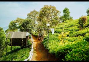 a dirt road next to a hill with a tent at Aryans Keeth house farm stay in Idukki