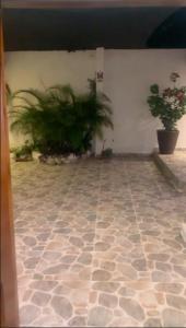 a room with potted plants and ailed floor at Habitacion en casa familiar in Barranquilla
