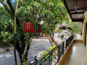 een mand hangt aan een boom op een balkon bij !Hermosa Casa en el Mejor lugar de Medellín! in Envigado