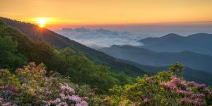 a sunset over a mountain range with pink flowers at Art of Living Retreat Center - All Inclusive - Mountain Top Wellness Retreat in Boone