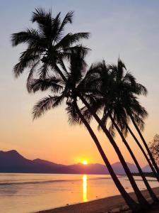 2 palmiers sur une plage au coucher du soleil dans l'établissement Cardwell Beachfront Motel, à Cardwell