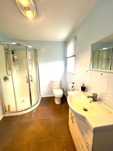 a bathroom with a shower and a toilet and a sink at Mango at the Lake sleeps 8 in Mangakino
