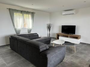 uma sala de estar com um sofá e uma televisão em Villa pedicervu haut em Ventiseri