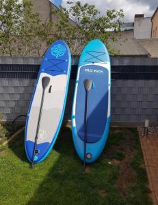 dos tablas de surf azules y blancas sentadas en el césped en Inselblüte 2 en Werder