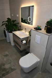 a bathroom with a toilet and a sink and a mirror at ADRIANIK Apartment in Zagreb