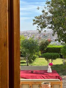 a window with a red cloth and a vase with flowers at NubaNile Guesthouse in Shellal