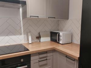 Kuchyňa alebo kuchynka v ubytovaní Życzliwy Apartament z garażem