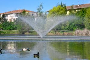 a fire hydrant spraying water on a lake with ducks at Maison Climatisée avec Piscine in Toulouse