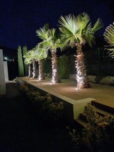Vonkajšia záhrada v ubytovaní Grande Villa 350 M2, piscine chauffée vue mer et collines, CAVALAIRE sur mer, 10 personnes