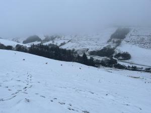 レクサムにあるBerwyn Shepherds Hutの雪面の足跡が積もった丘