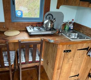 雷克瑟姆的住宿－Berwyn Shepherds Hut，厨房配有水槽和台面上的茶壶
