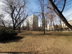 a park with trees and a building in the background at ALDIRA Studio Arena Nationala in Bucharest