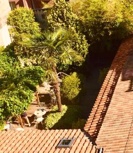 an overhead view of a patio with a palm tree at Maison du Lierre Bordeaux Centre ville in Bordeaux