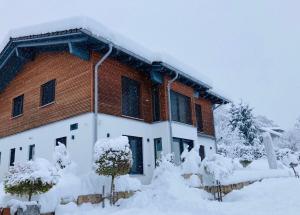 dom pokryty śniegiem z drzewami przed nim w obiekcie Ferienhaus Escherich w mieście Büchlberg