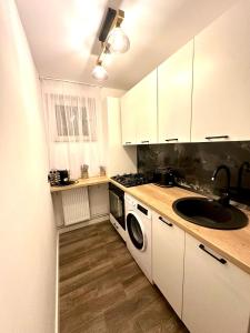 a kitchen with a sink and a washing machine at Evelyn Apartment in Bistriţa