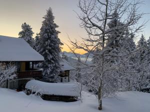 Rigiana auf der Königin der Berge v zimě + 22 fotografií
