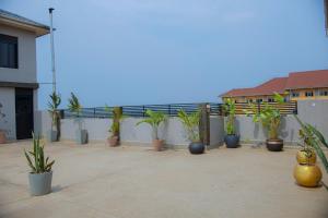 une rangée de plantes en pot assise sur un patio dans l'établissement Transit Haven, à Entebbe