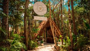 a small tree house in the middle of a forest at The Yellow Nest Tulum in Tulum