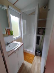 ein Badezimmer mit einem weißen Waschbecken und einer Dusche in der Unterkunft Mobilhome 1 