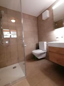 uma casa de banho com um chuveiro, um WC e um lavatório. em FEWO Rophaienblick em Isenthal