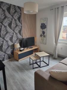 a living room with a couch and a tv at L'Europ'appart : Gare, Center parcs, Parc St Croix in Sarrebourg
