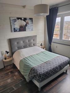 a bedroom with a bed and a large window at L'Europ'appart : Gare, Center parcs, Parc St Croix in Sarrebourg