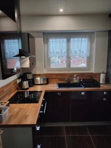 a kitchen with a stove and a sink and two windows at L'Europ'appart : Gare, Center parcs, Parc St Croix in Sarrebourg
