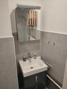 La salle de bains est pourvue d'un lavabo blanc et d'un miroir. dans l'établissement L'Europ'appart : Gare, Center parcs, Parc St Croix, à Sarrebourg