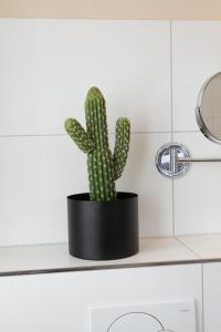 a cactus in a black pot sitting on a counter at hideauts hotels Der Rosengarten in Füssen