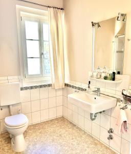 a bathroom with a toilet and a sink at Ferienwohnung Schloss Heldritt in Bad Rodach