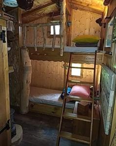 a bunk bed in a cabin with a ladder at La cabane perchée du trappeur in Écrainville