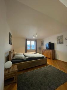 ein Schlafzimmer mit einem Bett und einem großen Fenster in der Unterkunft Motel MonTexas 