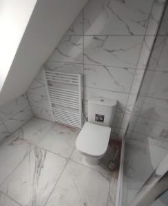 a bathroom with a toilet in a room with marble walls at Železnohorské Apartmány u Sečskeho zámku in Seč