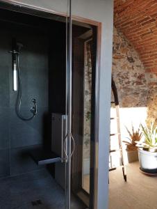 a shower in a bathroom with a glass door at B&B Villa Antilia in Busca +38 photos