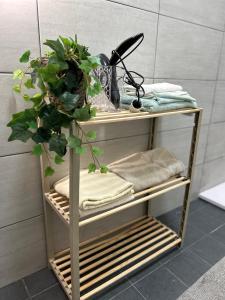 een plank met handdoeken en een potplant in de badkamer bij LALE Air conditioning, Wifi, Free parking HOME in Massa