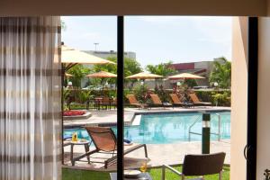 a view of a swimming pool from a hotel room at Courtyard by Marriott Fort Lauderdale East / Lauderdale-by-the-Sea in Fort Lauderdale