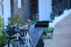 New Rock في نوارا إليا: اثنين من الدراجات متوقفة بجوار بعض النباتات