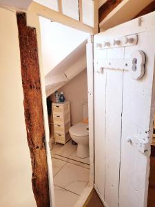 a bathroom with a toilet in a attic at Le Cosy Macaron - Au cœur de Versailles in Versailles