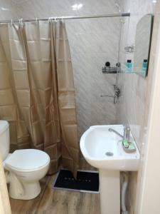 Hotel sauna في Maltakva: حمام مع مرحاض ومغسلة